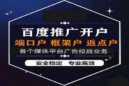SEM代运营公司案例分析报告